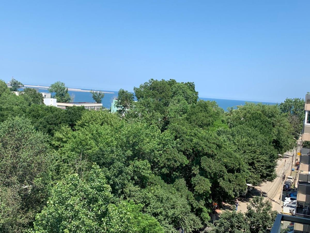 Summer Apartments 艾福雷诺德 外观 照片